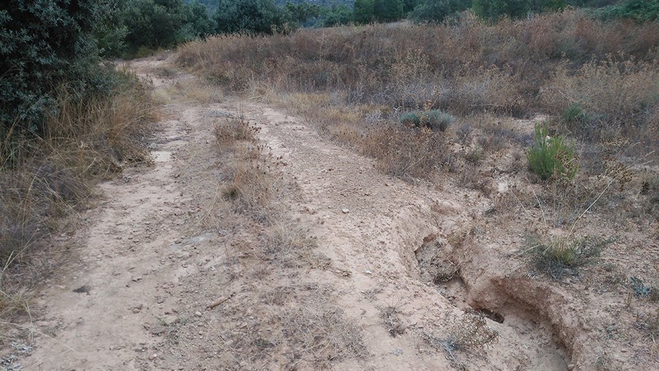 Camins de la -1