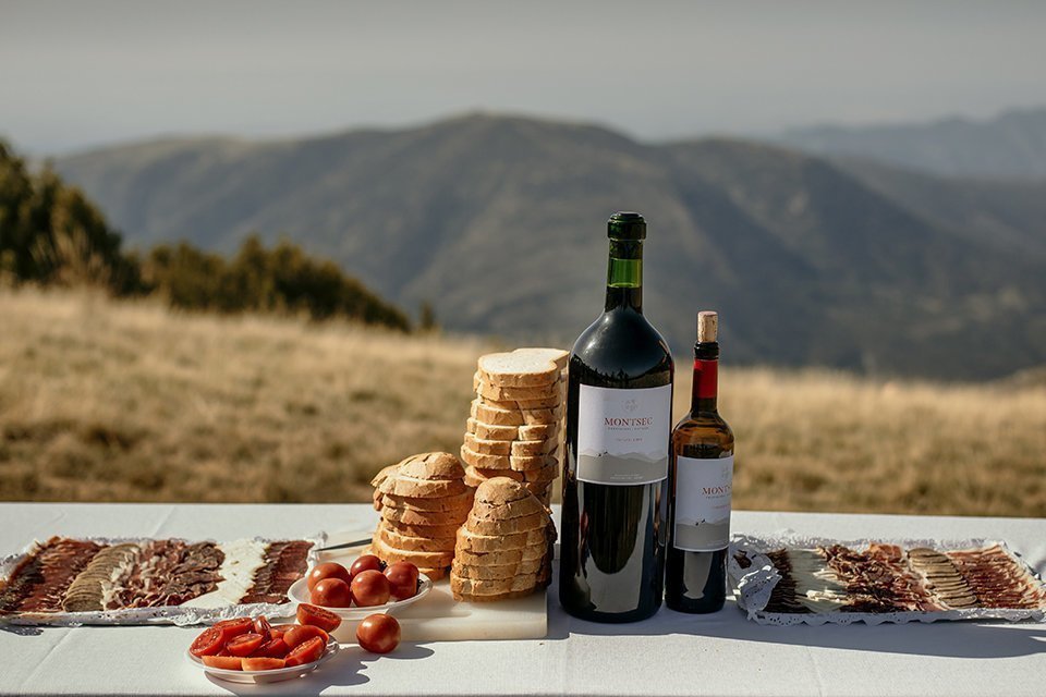 Vi Mirapallars - Celler Montsec