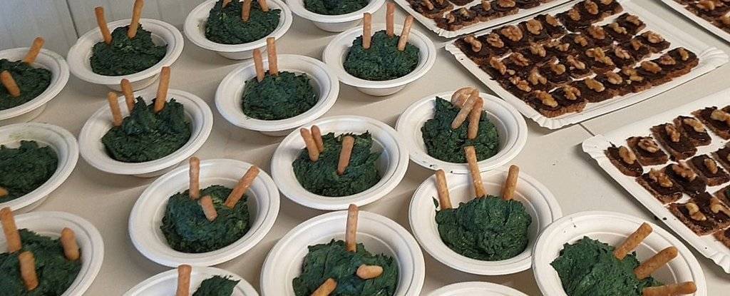Gastronomia elaborada amb base d'Espirulina-Bio a Almenar