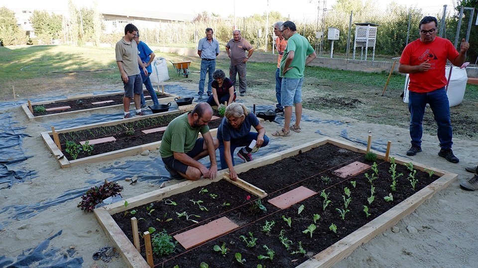 Elaboració de les parades en crestall a l'INS Mollerussa