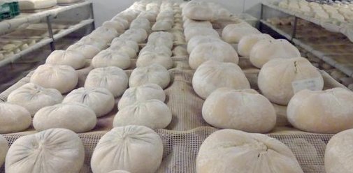 Formatges Camps del Palau d'Anglesola