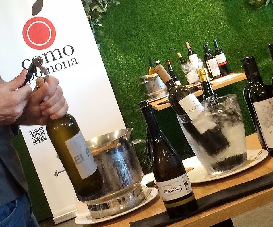 Els vins de la festa