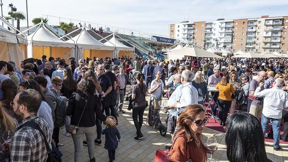 Festa del Vi de Lleida 7