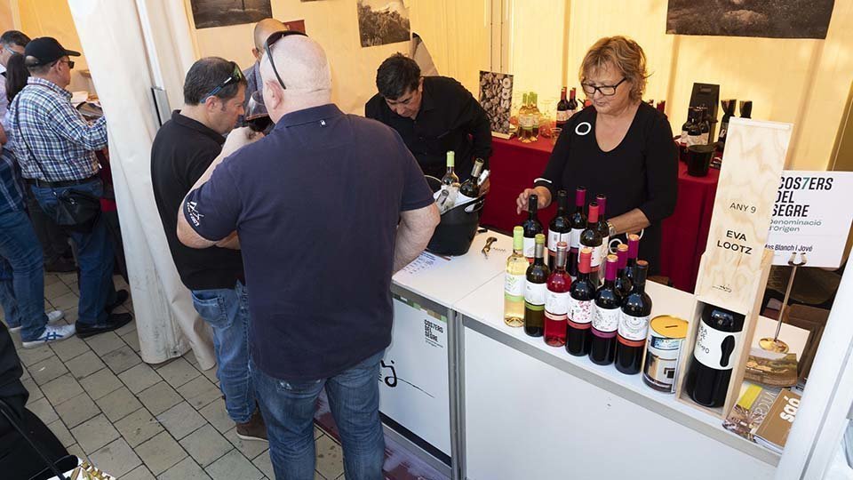 Festa del Vi de Lleida 9