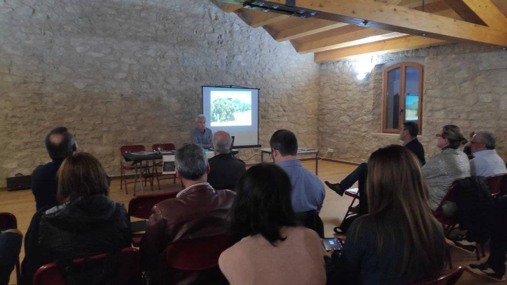 WhatsApp Image 2019-11-07 at 18.21.14