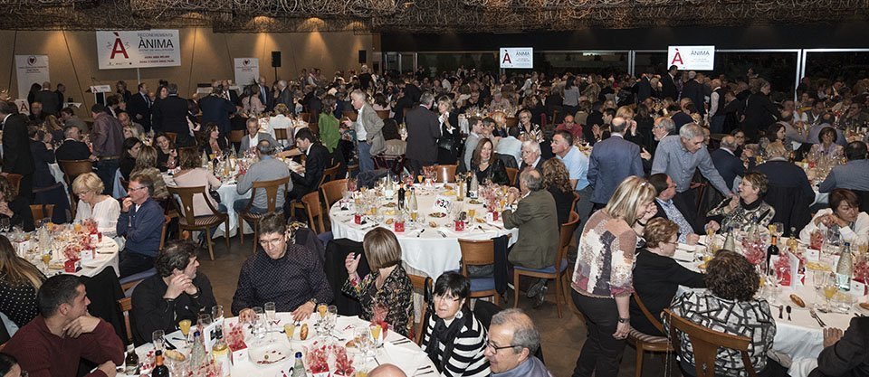 Vetllada solidaria i lliurament dels Reconeixements Ànima a Mollerussa