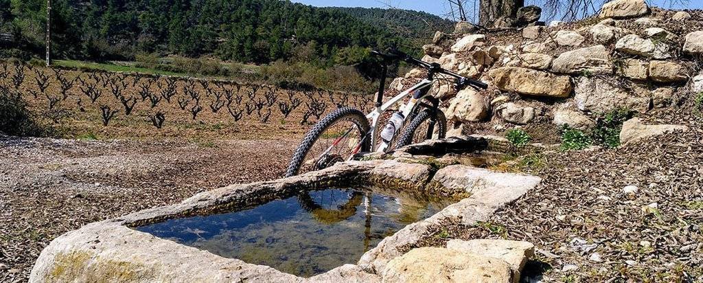Camins de Pedra, projecte de rutes en bicicleta per les Garrigues