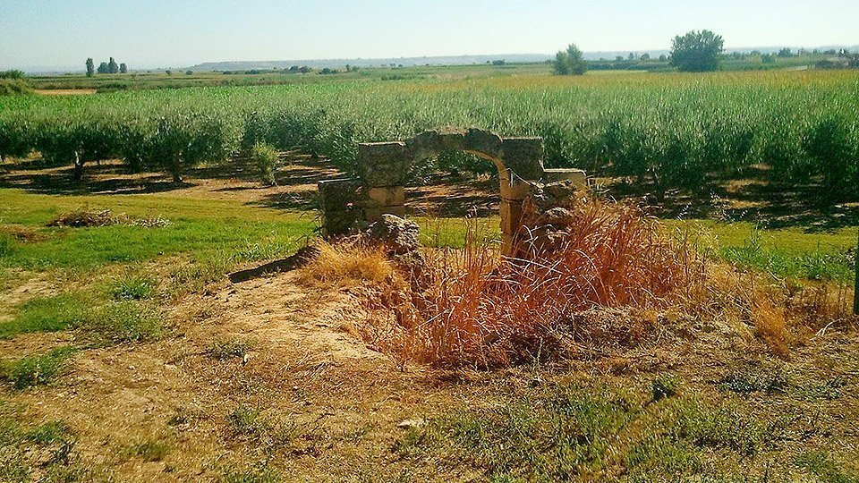 Font del Paradell Torregrossa