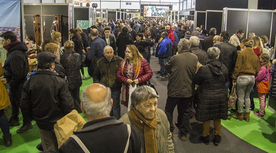 Públic visitant de la Fira de l'Oli Verge Extra i les Garrigues 1