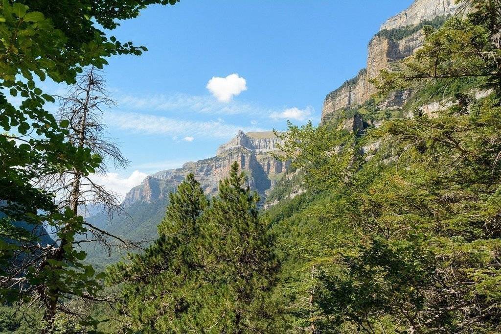 ordesa-valley-1796356_1280 sergi ases