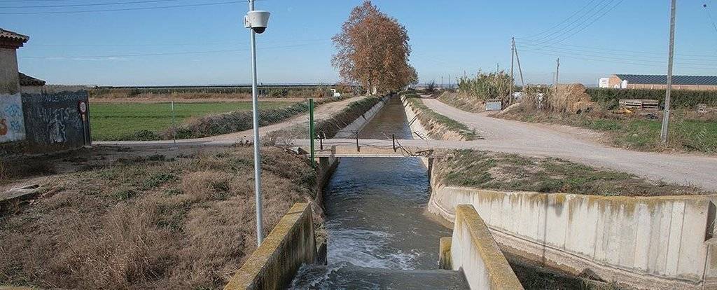 Regadius dels Canals d'Urgell
