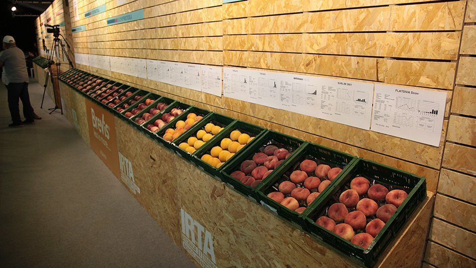 Jornades Fructicoles IRTA (6)