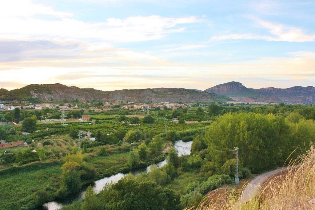 8. Horta d'Alfarràs i Andaní. 2012. Ramon Dalfó (2)