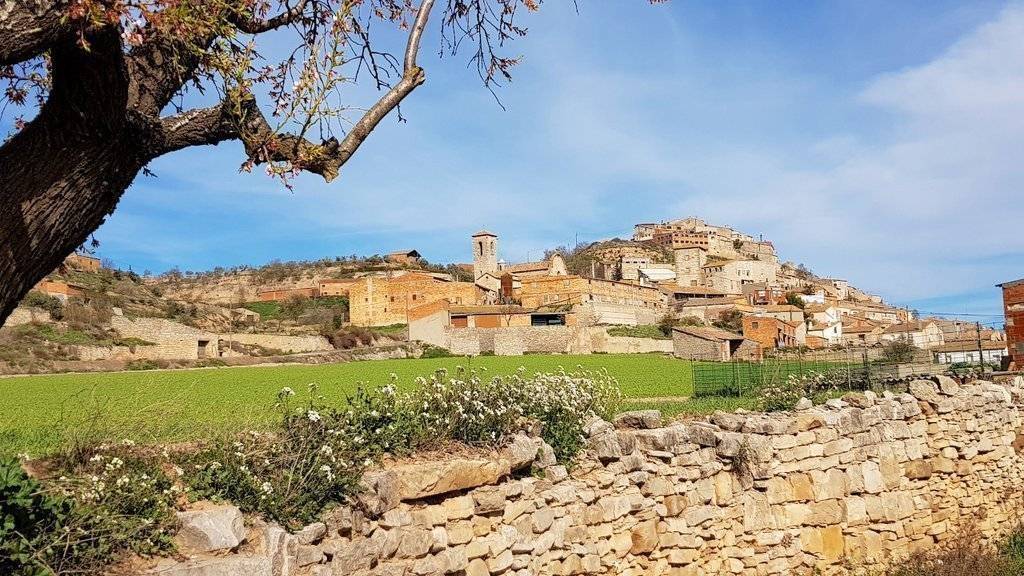 Imatge de les Olugues