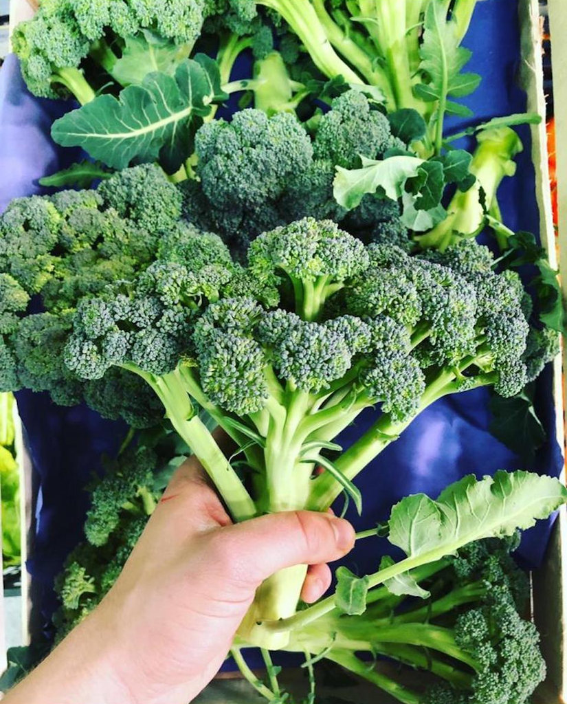 Bròquil Imperfectus