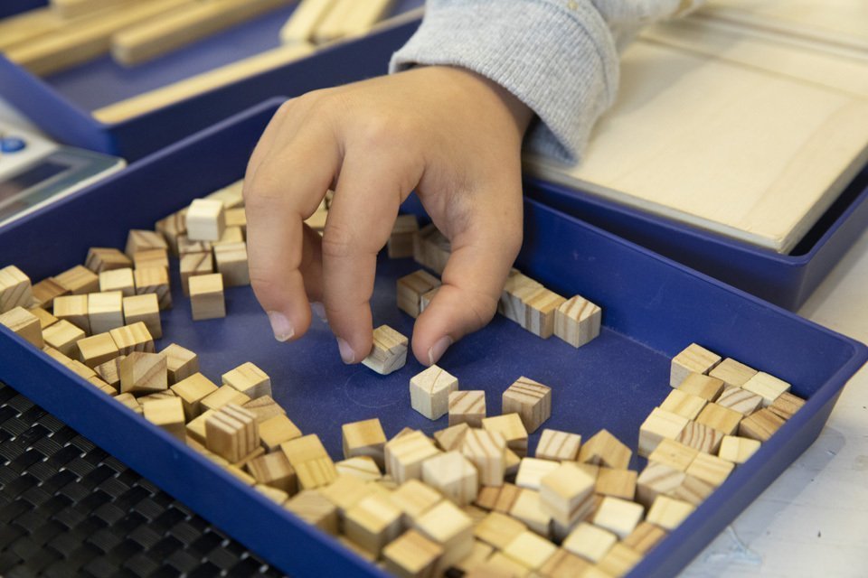 077  SINIA190424 EGF_1480