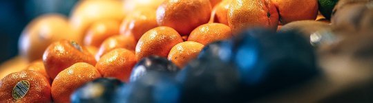 banner serveis 2