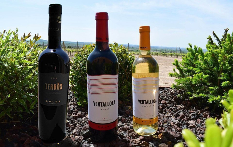 Vins de Boldú vinicultors