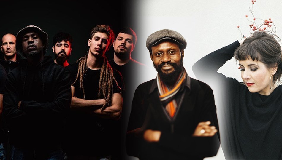 Algunes de les formacions que formen part del segon volum d'Estrats 2