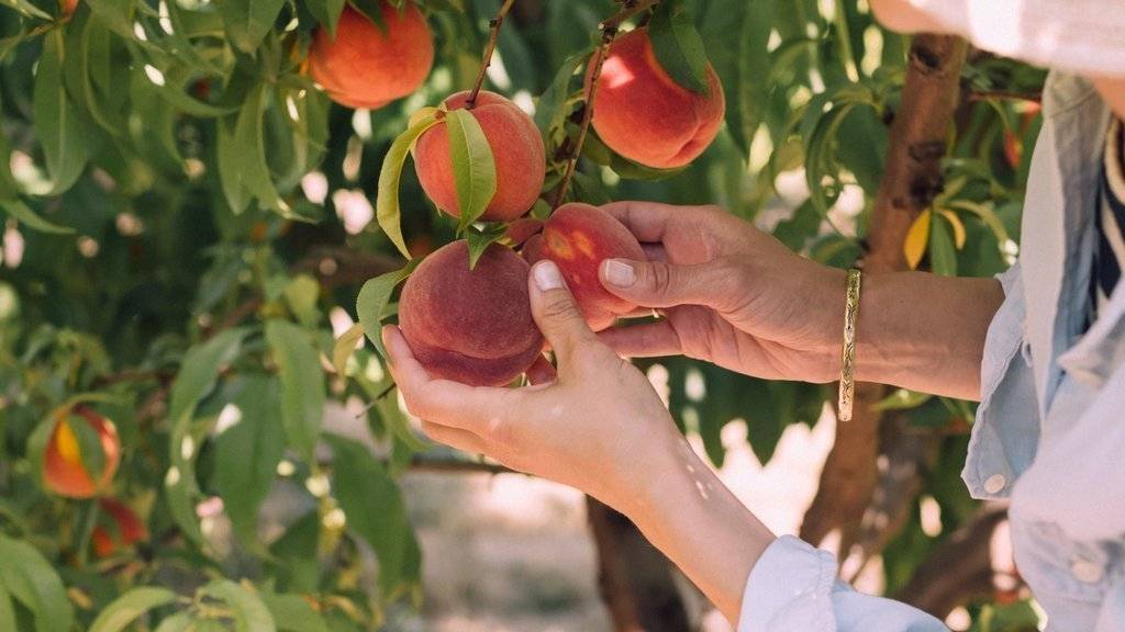 christiann-koepke-Dwj_hJom_Sc-unsplash