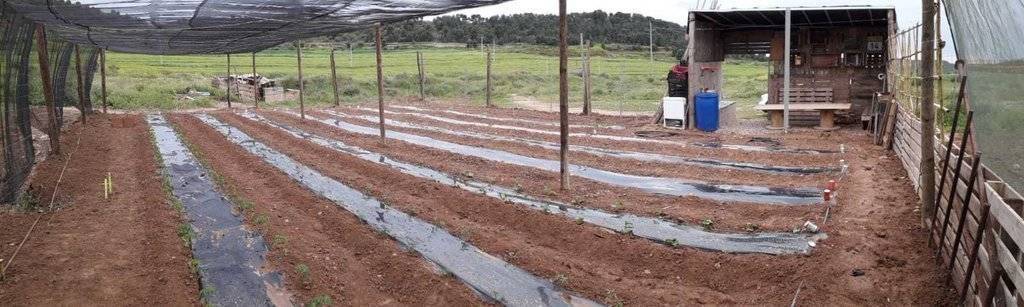 PHOTO-2020-04-20-19-17-22 (1)