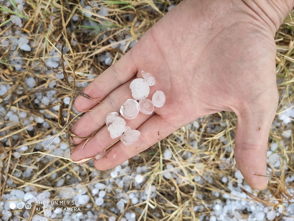 Pedres de la tempesta que ha caigut a Bellpuig