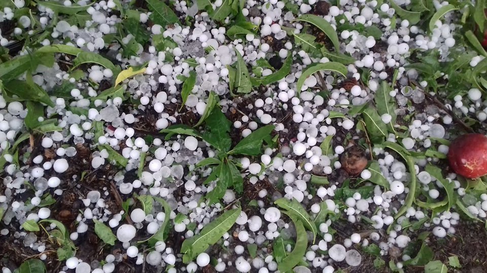 La pedra que va caure dimarts al Segrià