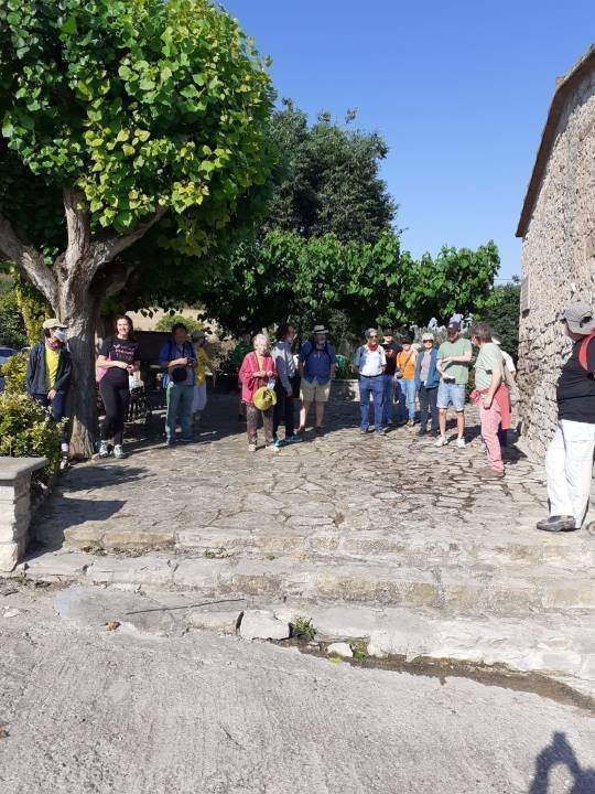 Visita Pla de les Tenalles de la Móra 1