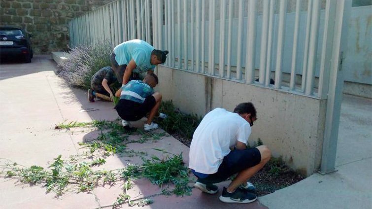 Activitats de l'Oficina Jove de la Noguera
