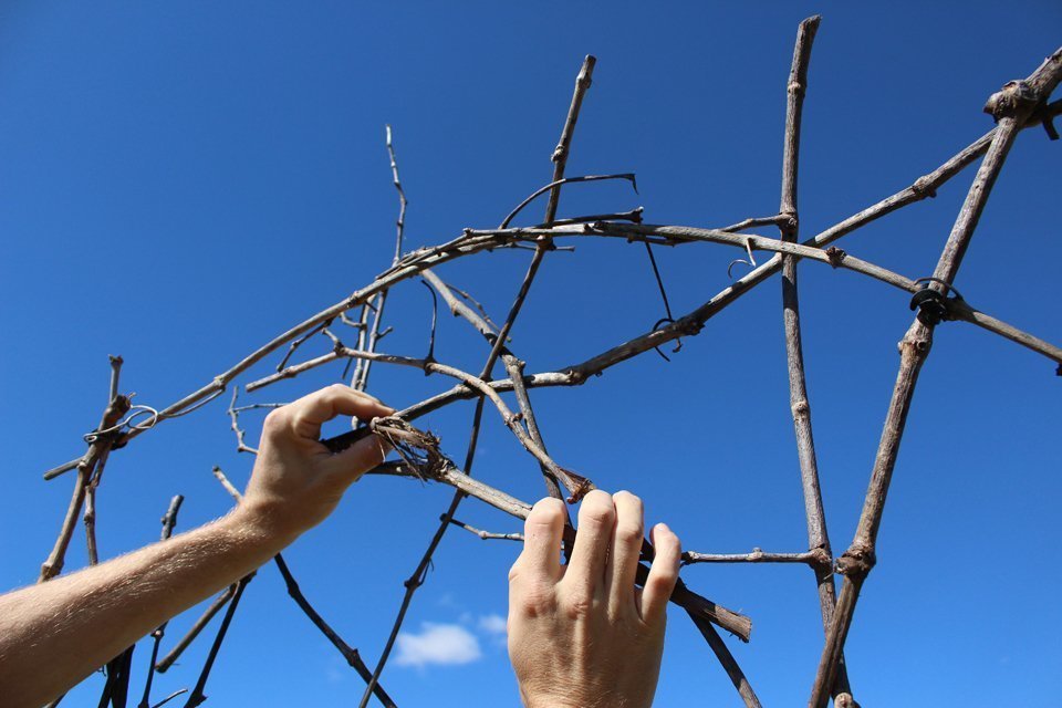 WhatsApp Image 2020-06-13 at 11.31.57