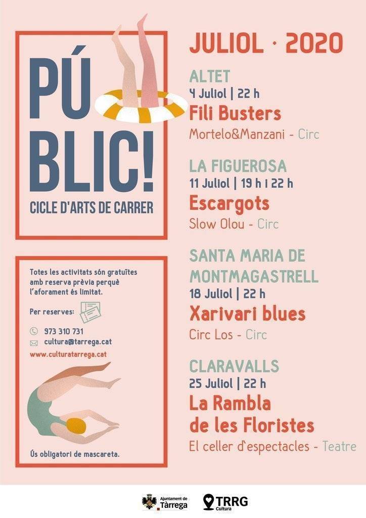 Cartell del cicle Públic! 2020