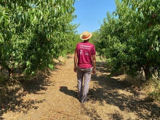 106534758_3395885163768377_4425108043909491901_o