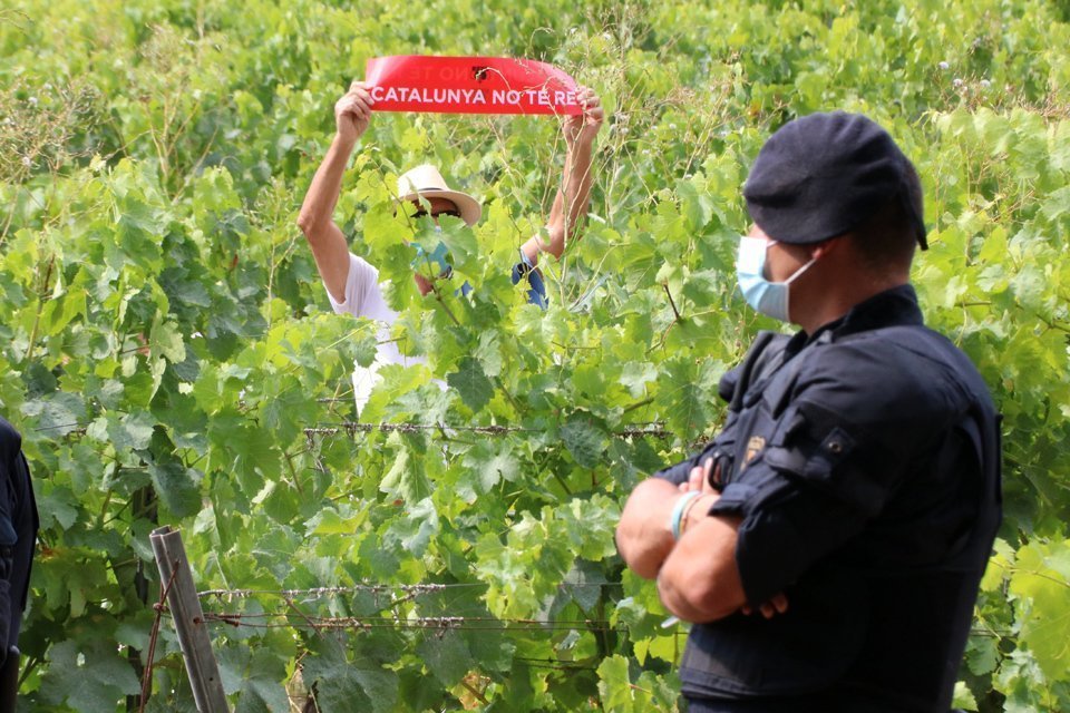 Pla obert d'un manifestant contra la visita dels Reis escapolit entre vinyes rere el cordó policial, el 20 de juliol del 2020 (horitzontal)