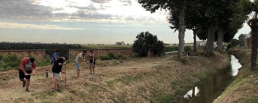 Els participants en el Camp de treball Palau d'Anglesola netegen la banqueta del Canal