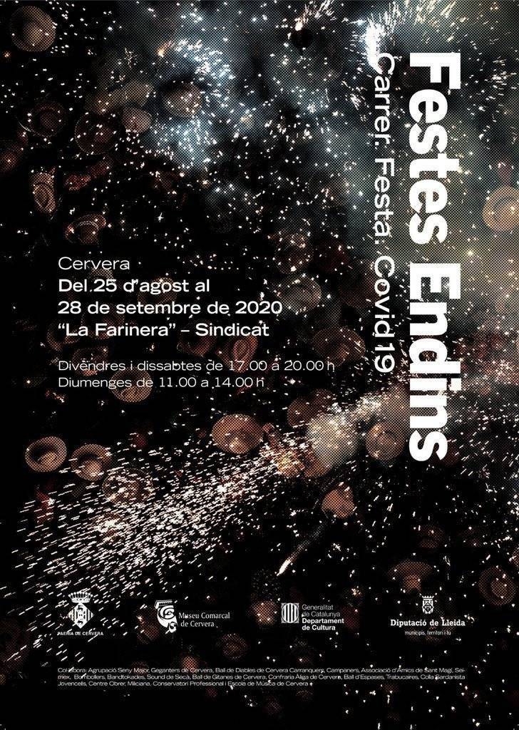 Cartell Festes Endins