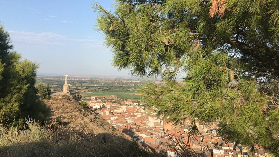 PHOTO-2020-08-07-19-25-59