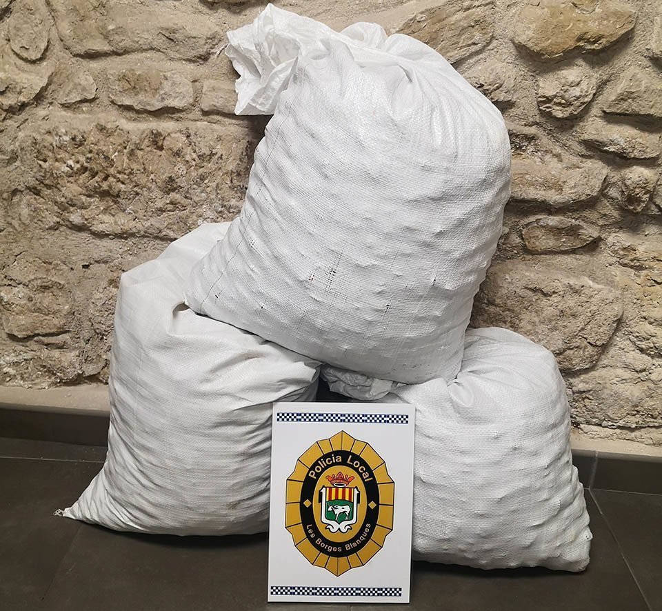 Les ametlles presumptament furtades que ha comissat la Policia Local de les Borges