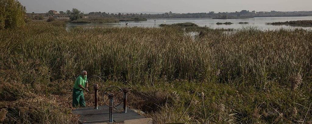 Buidatge de l'Estany d'Ivars i Vila-sana