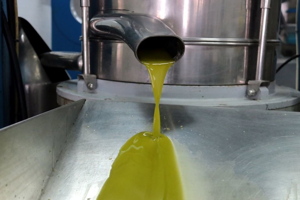 Detall del primer oli de la temporada a la Cooperativa de Maials, el 27 d'octubre del 2020. (Horitzontal) -  Salvador Miret