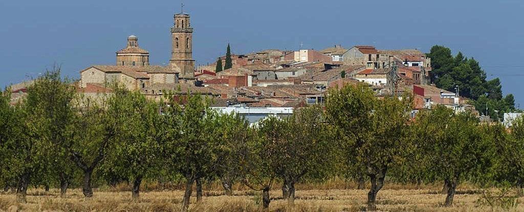 Imatge del municipi de Maials @AjMaials