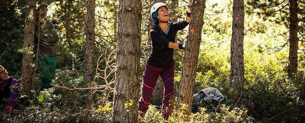 Participants en el Projecte Boscos de Muntanya