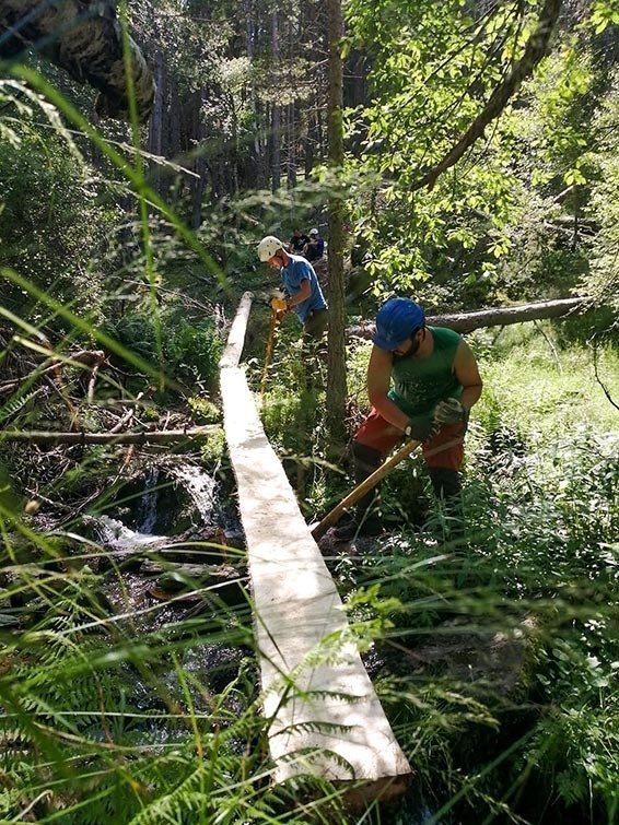 Participants en el Projecte Boscos de Muntanya