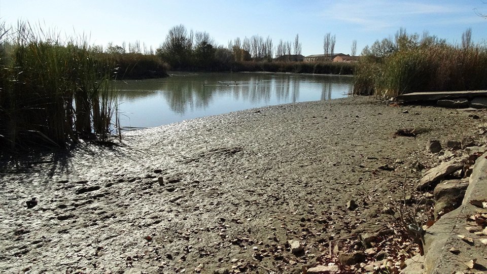 Restauració ecològica de l'Estany d'Ivars i Vila-sana