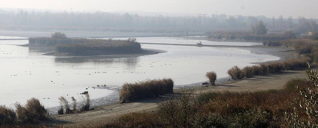 Imatge de l'Estany i la superfície buidada @ACN