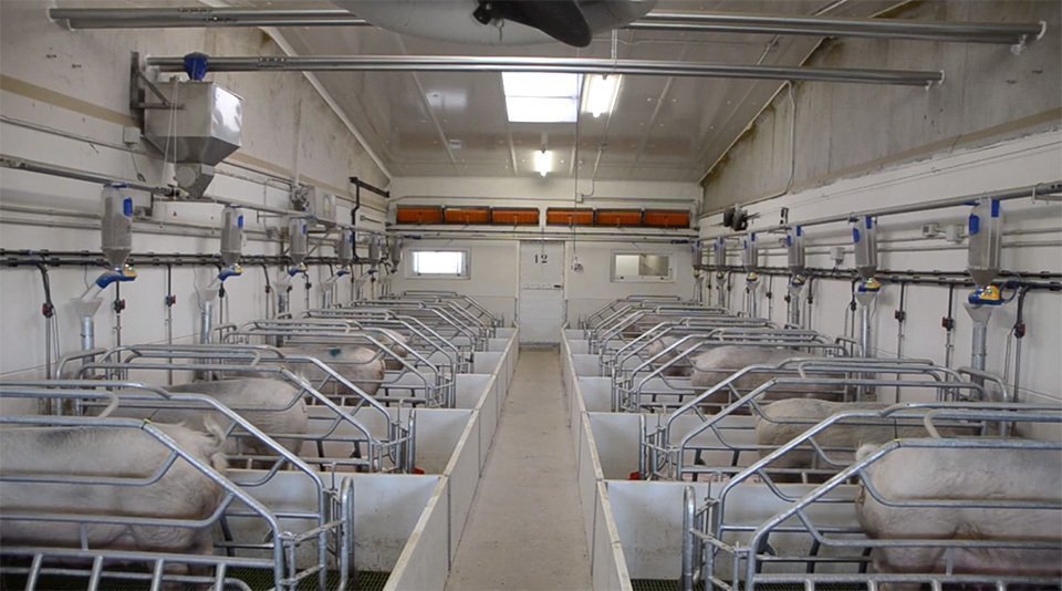 InstalLacions de la Granja Valfarta de Cooperativa d'Ivars d'Urgell