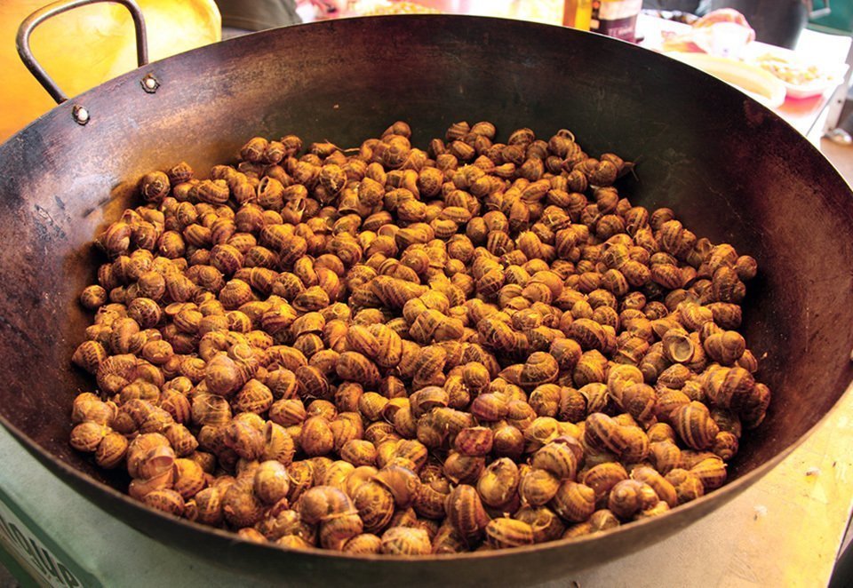 Caragols-Laura Cortés_ACN