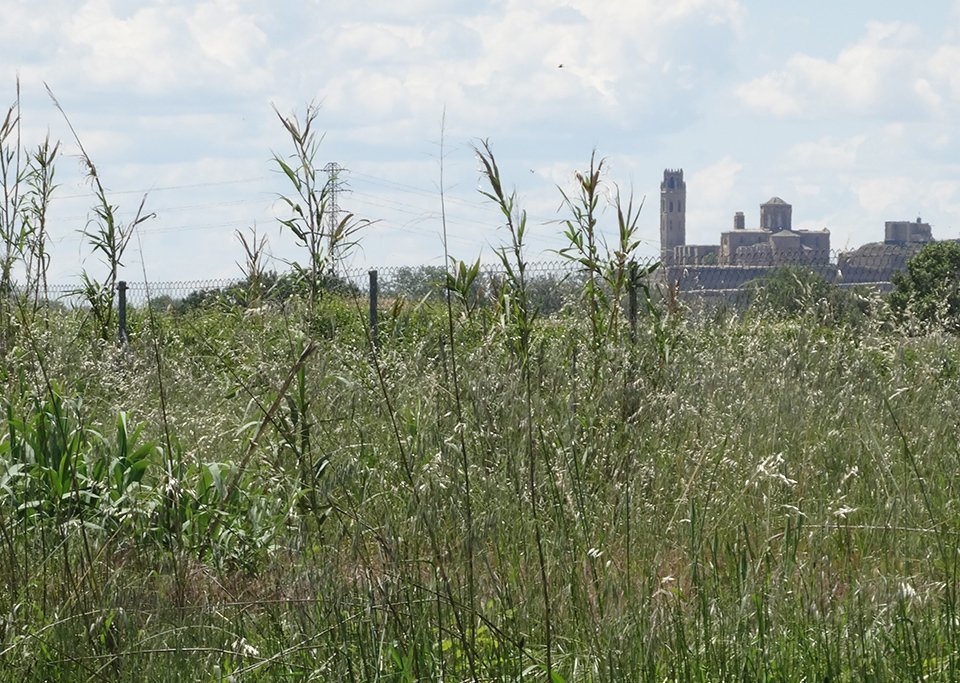Lleida_Foto_Aida-Pallàs