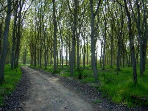 Aiguabarreig al municipi de Seròs