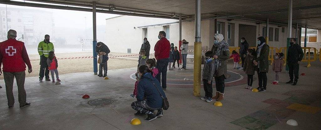 Cribratge en escola El Sitjar de Linyola