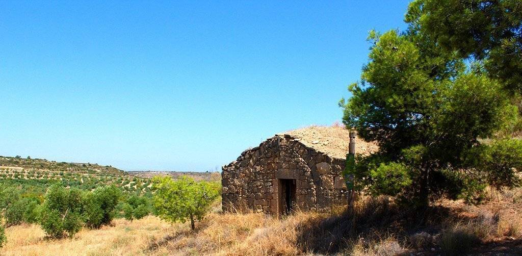 Terra d'oliveres, cabana de volta